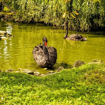 Gasthof Lodownia Szydlowiec
