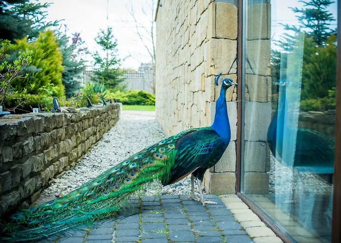 Zajazd Lodownia Szydlowiec