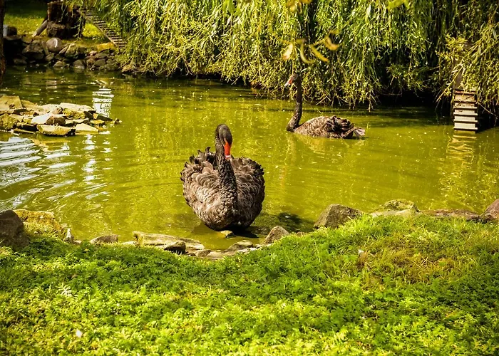 Mini-hôtel Lodownia Szydlowiec