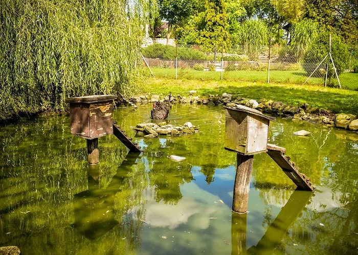 Zajazd Lodownia Szydlowiec