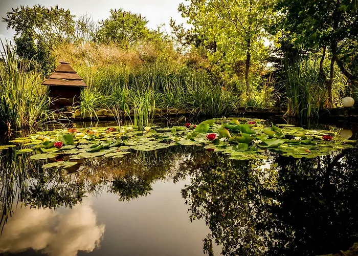 Zajazd Lodownia Szydlowiec